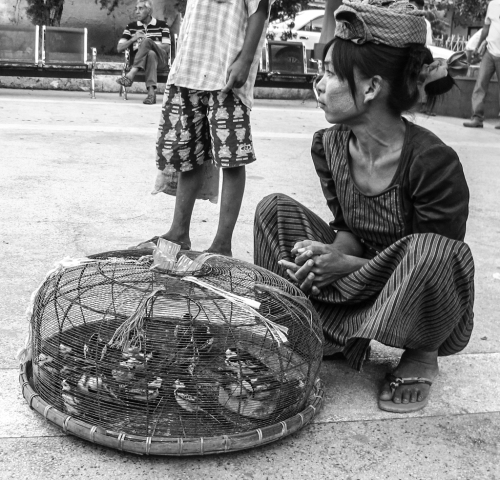 This woman offers captive birds for release at a pagoda. The release gives merit to the liberator. I don't know how the other side of the equation works for the captor and retailer.