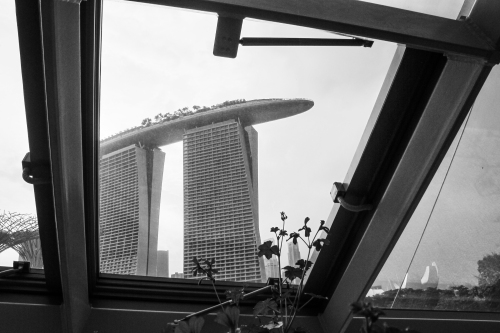 Marina Bay Sands Hotel from inside the Flower Biome in Gardens by the Bay, Singapore