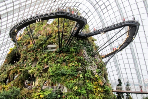 Above and below are the walkways round the 'mountain' of the Cloud Forest. Misty, moisty weather pours out of hidden pipework and supports a vast array of plants.